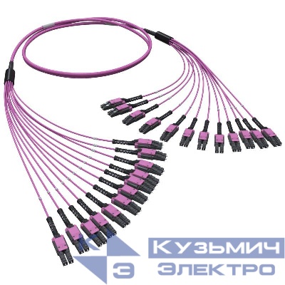 Сборка оптическая разветвительная 24ОВ 50/125 OM4 12хLC Duplex Uniboot/12хLC Duplex Uniboo 10м DKC RNFLL24410