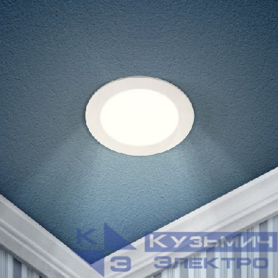 Светильник светодиодный 1-9 9Вт 220В 4000К круглый Эра Б0017487