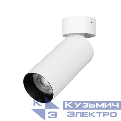Светильник светодиодный SP-GABI-SURFACE-FLAP-R50-9W Warm3000 (WH 36 deg 230В) IP40 металл Arlight 049925