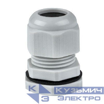 Сальник PG19 IP54 EKF plc-pg-19