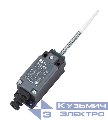 Выключатель концевой 1НО1НЗ пружин. рычаг пласт. DEKraft 34017DEK