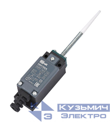 Выключатель концевой 1НО1НЗ пружин. рычаг пласт. DEKraft 34017DEK