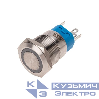 Кнопка антивандальная O19 250В Фикс (5с) ON-OFF/OFF-ON подсв. син. Rexant 36-3441