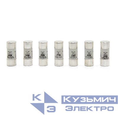 Предохранитель плавкий GG 22х58 25А НИЛЕД 12003491