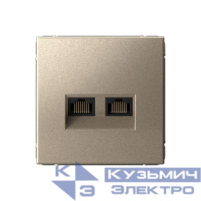 Розетка двойная компьютерная ArtGallery RJ45+RJ45 кат. 6A механизм шампань SE GAL000588