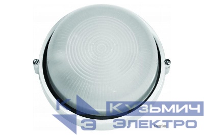 Светильник 1102S C01 NEW НБП 03-100-001 УХЛ1 "Открытый" 100Вт 230В до 130град.C круг бел. Camelion 13660