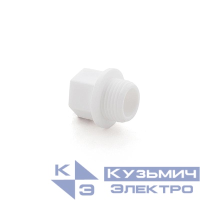 Заглушка резьбовая PPR 1/2дюйм PN25 бел. RTP 10555