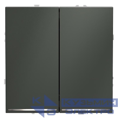 Выключатель 2-кл. СП S70 10А с подсветкой механизм титан Voltum VLS020206