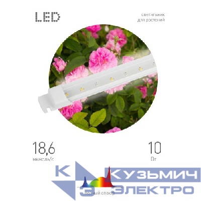 Светильник светодиодный для растений FITO-10W-Т5-Ra90-Slim 10Вт Т5 линейный полного спектра Эра Б0057400