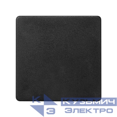 Заглушка Simon27 Play графит 27800-38