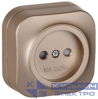 Розетка ОП GLORY РСш20-2-ХШм 10А без заземл. защ. шторки шампань матов. IEK ERH13-K37M-10