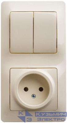 Блок комбинированный Glossa (розетка + 2-кл. выкл.) беж. SE GSL000272