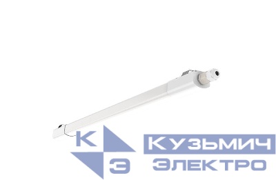 Светильник светодиодный WT035C G2 LED20/NW PSU CFW L600 ДСП 4000К PHILIPS 911401807284
