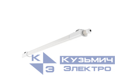 Светильник светодиодный WT035C G2 LED20/NW PSU CFW L600 ДСП 4000К PHILIPS 911401807284