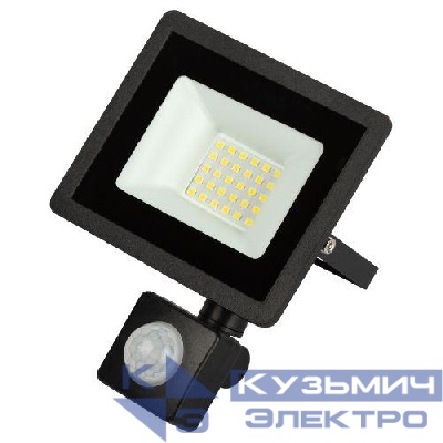 Прожектор светодиодный уличный LPR-042-2-65K-030 30Вт 6500К 2400лм IP44 регулируемый ИК датчик Эра Б0064234