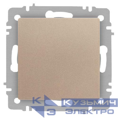 Кнопка Accent 6-109-04 10А-250В IP20 СУ шампань Intro Б0063610