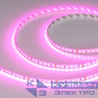 Лента светодиодная RT-A120-8mm 24V Magenta 9.6Вт/м IP20 2835 (уп.5м) Arlight 043381