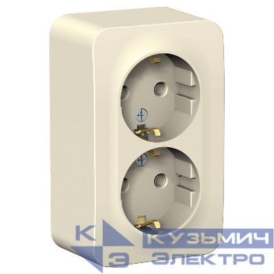 Розетка 2-м ОП Blanca 16А IP20 250В с заземл. без защ. шторок с изолир. пластиной молоч. SE BLNRA010212