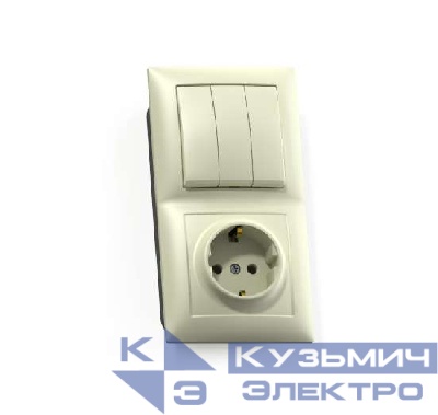 Блок СП БКВР-413 Селена (3-кл. выкл. + розетка с заземл.) сл. кость Кунцево 8178