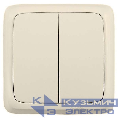 Выключатель 2-кл. ОП Альфа 10А IP20 250В с изолир. пластиной сл. кость HEGEL ВА10-153-01