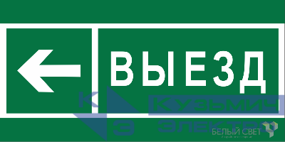 Знак безопасности BL-3015B.N08 "Направление к воротам выезда налево" Белый свет a19664