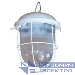 Светильник НСП 02-100-003 с решеткой Владасвет 10112