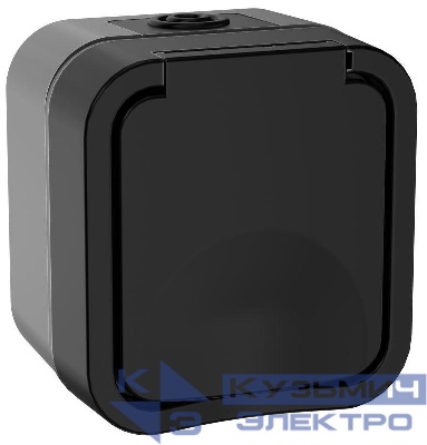 Розетка 1-м ОП TORS 16А IP55 TS120 с заземл. с крышкой графит IEK TS-R16-16-55-K53