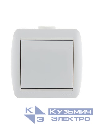 Выключатель 1-кл. ОП Nata 10А IP20 бел. LEZARD 710-0200-100