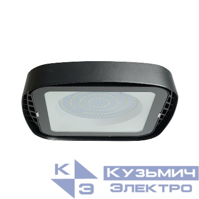 Светильник AL1005 100Вт 6400К IP65 AC 230В/50Гц 120град. 2835 SMD складской черн. FERON 48663