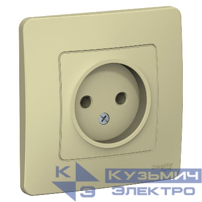 Розетка 1-м СП Blanca 16А IP20 250В без заземл. без защ. шторок беж. SE BLNRS000017