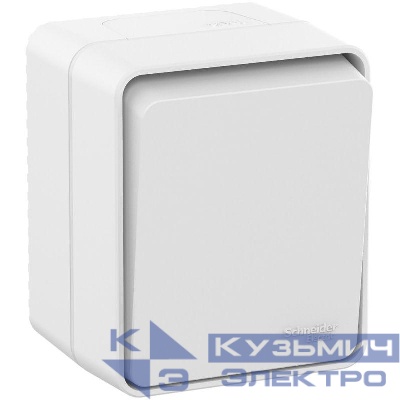 Выключатель 1-кл. ОП AtlasDesign PROFI IP54 10AX бел. SE ATN540111