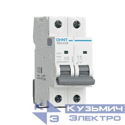 Выключатель автоматический NB8-63M 2п 10А 8In (C) (R) CHINT 320802