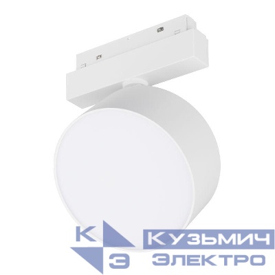 Светильник светодиодный MAG-ORIENT-RONDO-R120-15W Day4000 (WH 110 deg 48В) IP20 металл Arlight 048363