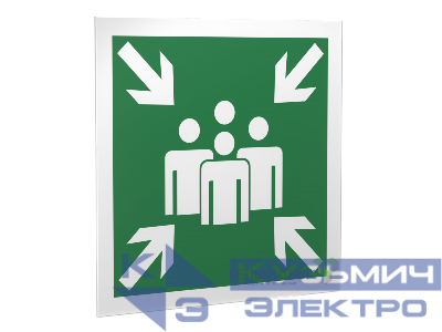 Знак безопасности PS-50506.E21"Пункт (место) сбора" Белый свет a13771
