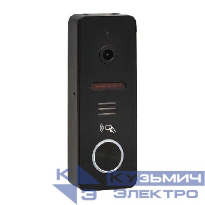 Видеопанель вызывная CPV-02 1000TVL IP65 со считыв. ключей 4пр. черн. EKF int-cpv-02