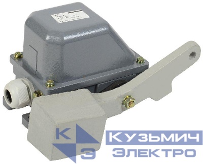 Выключатель концевой КУ-703 У1 рычаг с грузом 10А IP44 2 эл. цепи б/п IEK KV-1-703-1