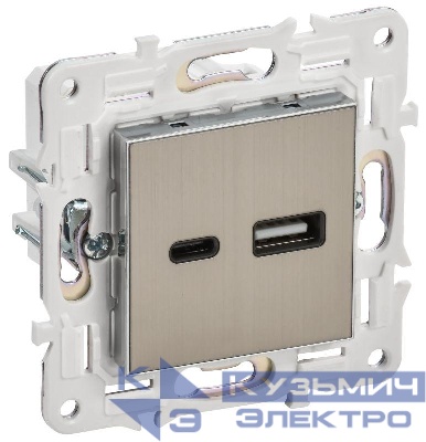 Розетка USB A+C 3.1А SKANDY SK-R14N никель IEK SK-U22-D31-K50