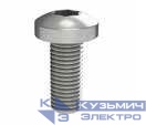 Винт М5х12 под шлиц Torx (уп.100шт) DKC R5M512
