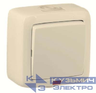 Переключатель 1-кл. ОП Альфа 16А с индикацией сл. кость HEGEL ВА16-262-01