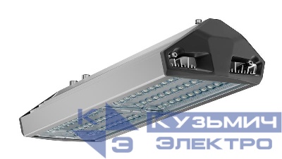 Светильник светодиодный ДКУ 100 750 ШБ ЕСАУЛ IP66/67 уличный Технологии света УТ000020653
