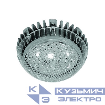Светильник светодиодный Vega LED-10-111 ЖКХ накладной Ксенон 0186110213
