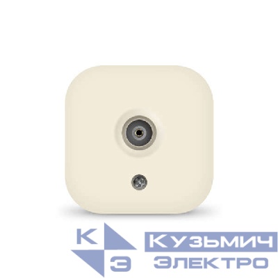 Розетка телевизионная TV ОП IP20 сл. кость IONICH 1430