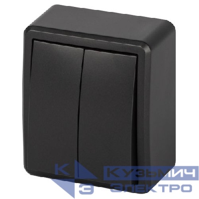 Выключатель 2-кл. ОП Эксперт 11-1204-05 IP20 10АХ-250В антрацит Эра Б0063026
