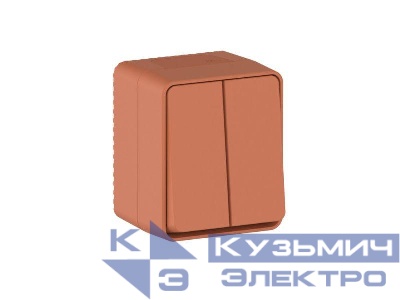 Выключатель 2-кл. ОП AtlasDesign PROFI IP54 10AX терракот. SE ATN547051