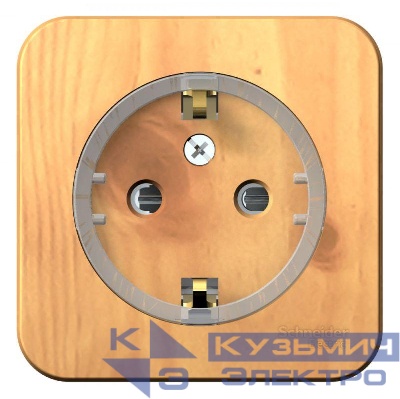 Розетка 1-м ОП Blanca 16А IP20 250В с заземл. защ. шторки с изолир. пластиной (компакт) ясень SE BLNRA111115