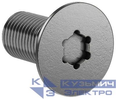 Винт М6х12 TORX30 DIN7500M (уп.20шт) FORMAT IEK FO-00D-VTORX-M6X12-020
