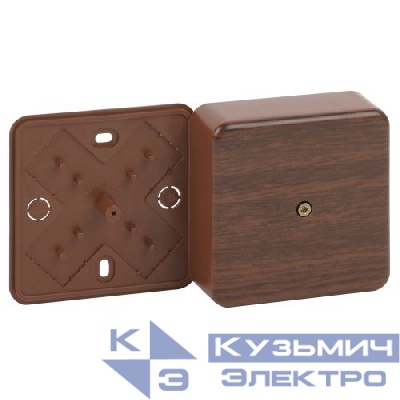 Коробка распаячная 50х50х20мм без клеммы IP40 дуб BS-O-50-50-20 Эра Б0058703