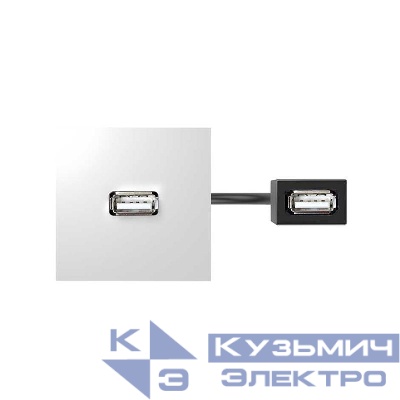 Модуль с адаптером проходной USB мама/мама бел. Simon 400 40001191-030