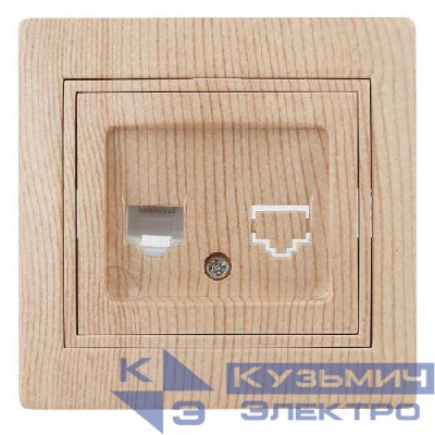 Розетка компьютерная 1-м СП Plano 1-303-11 RJ45 IP20 сосна Intro Б0030089