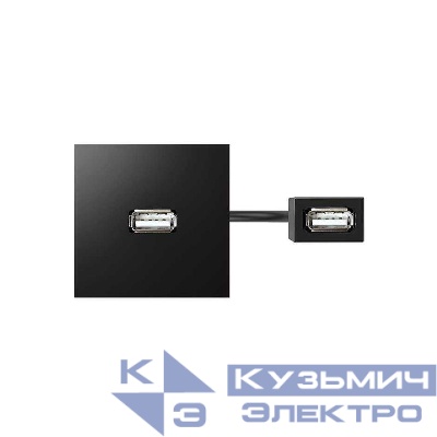Модуль с адаптером проходной USB мама/мама черн. Simon 400 40001191-038